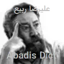 علیرضا ربیع